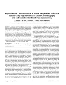 Separation and Characterization of Peanut Phospholipid Molecular