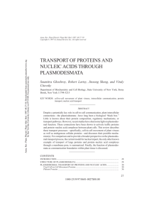 transport of proteins and nucleic acids through plasmodesmata