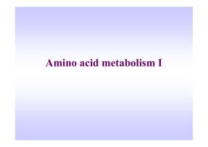 AA metabolismI