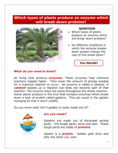 Which types of plants produce an enzyme which will break down