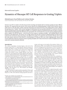 Dynamics of Macaque MT Cell Responses to Grating Triplets