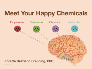 Dopamine Serotonin Oxytocin Endorphin Loretta Graziano Breuning