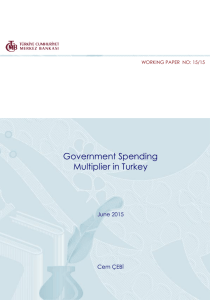 Government Spending Multiplier in Turkey