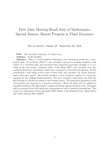First Joint Meeting Brazil Italy of Mathematics Special Session