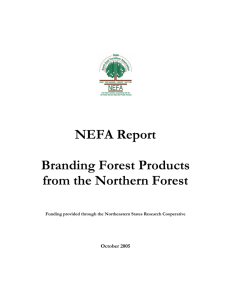 NEFA Report Branding Forest Products from the Northern Forest