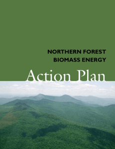 NortherN Forest Biomass eNergy - Biomass Energy Resource Center
