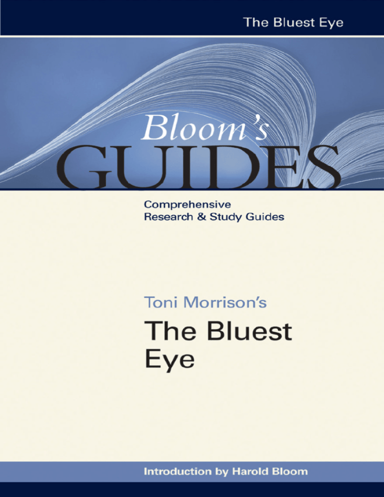 the bluest eye summer summary