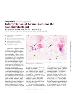 Interpretation of Gram Stains for the Nonmicrobiologist