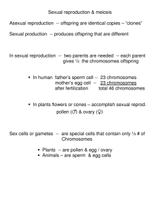 Sexual reproduction & meiosis Asexual reproduction -