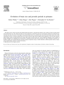 Evolution of brain size and juvenile periods in primates