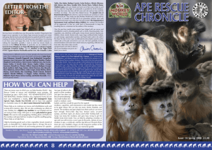 HOw YOu CAN HELP - Monkey World Ape Rescue Centre