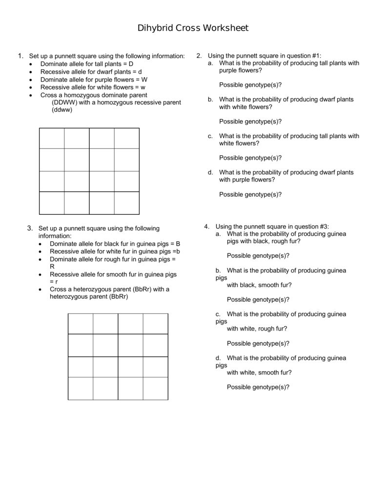 Dihybrid Cross Worksheet