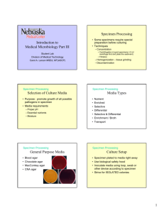 Introduction to Medical Microbiology Part III Specimen Processing