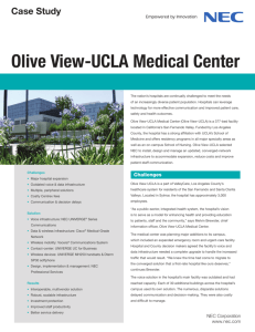 Case Study Olive View