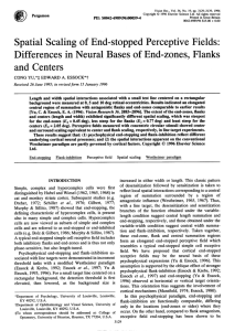 Spatial Scaling of End-stopped Differences in Neural Bases of and