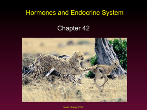 Hormones and Endocrine System Chapter 42