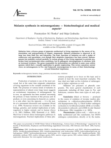 Melanin synthesis in microorganisms — biotechnological and