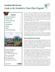 Guide to the Strawberry Clean Plant Program