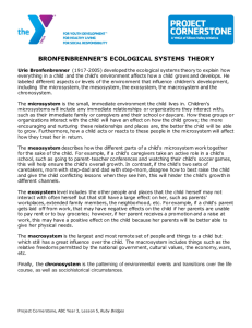 bronfenbrenner's ecological systems theory
