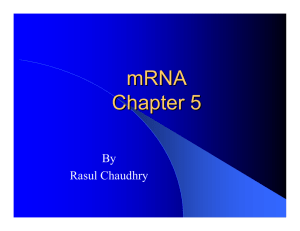 mRNA Chapter 5