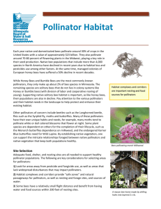 Pollinator Habitat - Minnesota Board of Water and Soil Resources