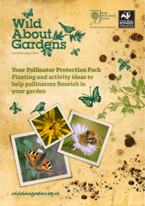 Pollinator Protection Pack