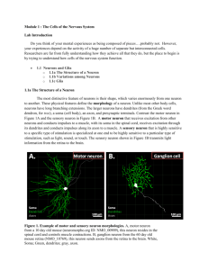 Module 1 : The Cells of the Nervous System Lab Introduction Do you