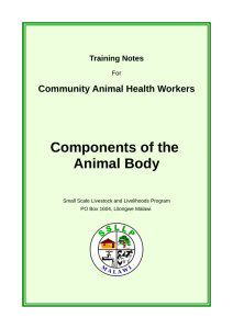 Components of the Animal Body - Small Scale Livestock and