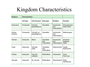 Domain Kingdom Chart