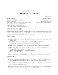 Abdallah M. Shuibi - DePaul University
