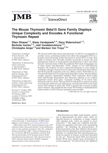 The Mouse Thymosin Beta15 Gene Family Displays Unique