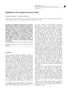 Regulation of the apoptosis–necrosis switch