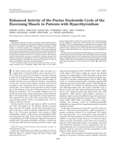 Enhanced Activity of the Purine Nucleotide Cycle of the Exercising