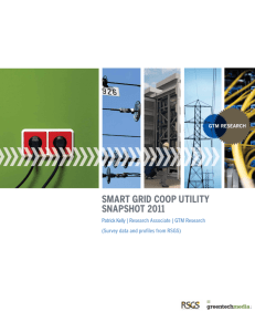 smart grid coop utility snapshot 2011