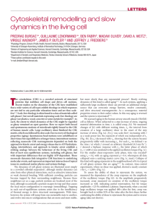 Cytoskeletal remodelling and slow dynamics in the living cell