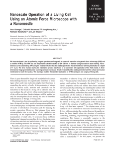 Nanoscale Operation of a Living Cell Using an Atomic Force