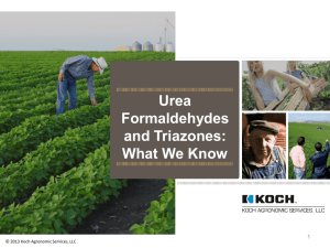 Urea Formaldehydes and Triazones: What We Know