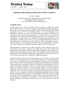 Feeding Strategies in Poultry in Hot Climate