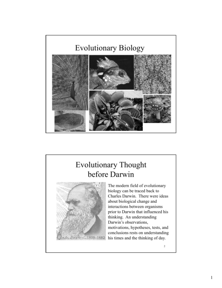 Evolutionary Biology Nicholls State University