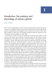 Introduction: the anatomy and physiology of salivary glands
