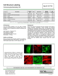Cell Structure Labeling Immunocytochemistry Kit