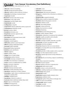 Print › Tom Sawyer Vocabulary (Test Definitions) | Quizlet | Quizlet