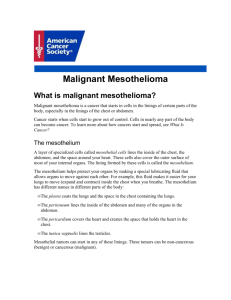 Malignant Mesothelioma - American Cancer Society