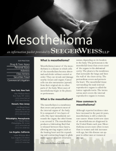 Mesothelioma - Seeger Weiss Asbestos Attorneys