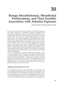 30 Benign Mesotheliomas, Mesothelial Proliferations, and Their