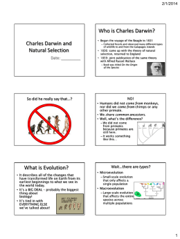 Evolution Study Guide Answer Key fungi quiz diagrams 