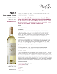 Sauvignon Blanc - Brassfield Estate Winery