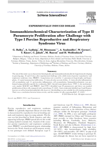 Immunohistochemical Characterization of Type II Pneumocyte