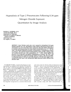 Hyperplasia of Type 2 Pneumocytes Following 0.34 ppm Nitrogen