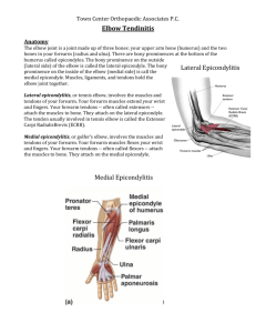Elbow Tendinitis Medial Epicondylitis Lateral Epicondylitis